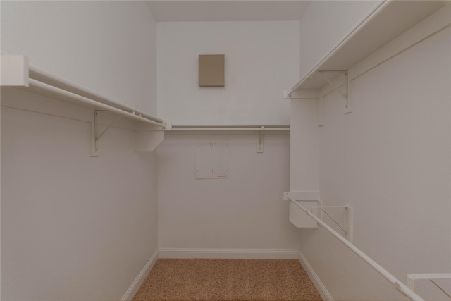 3017 Bella Lago Dr, Denton, TX 76210 - spacious closet featuring carpet floors