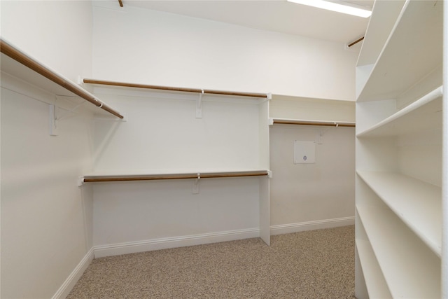 spacious closet with light carpet
