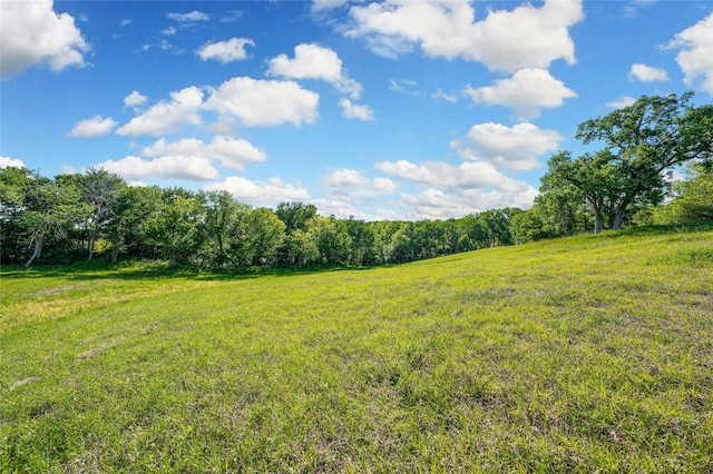 view of yard with a rural view and a wooded view