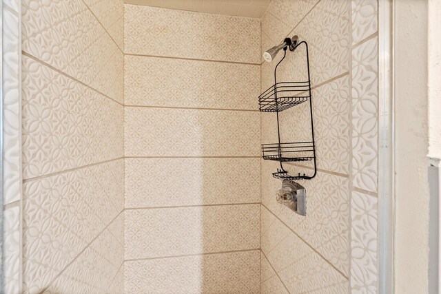 room details featuring tiled shower