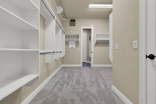 walk in closet featuring carpet