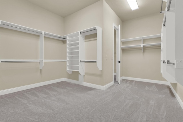 walk in closet with carpet flooring