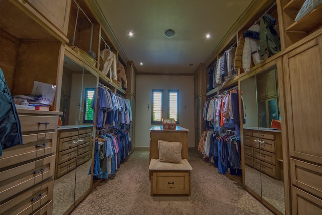 9 Victory Ln, Double Oak, TX 75077 - walk in closet with carpet floors