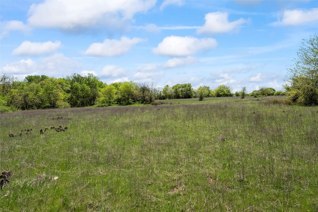 13001 Fm 1201, Gainesville, TX 76240