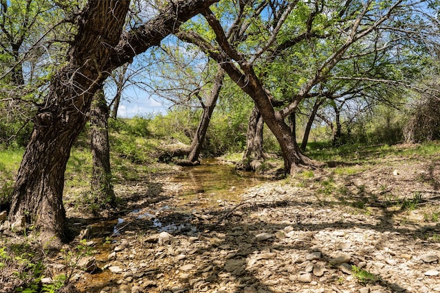 13001 Fm 1201, Gainesville, TX 76240