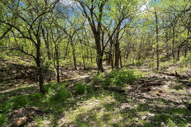 13001 Fm 1201, Gainesville, TX 76240