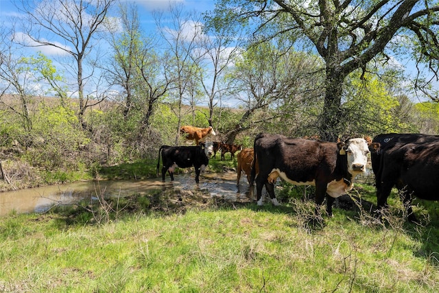 13001 Fm 1201, Gainesville, TX 76240