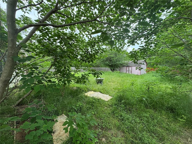 view of yard with fence, a storage shed, and an outbuilding