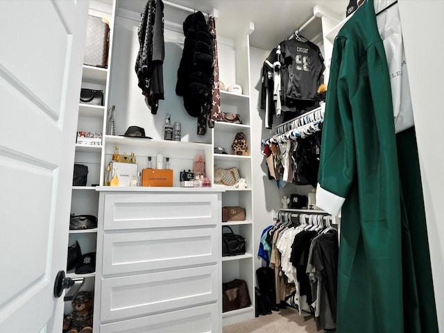 walk in closet featuring carpet floors