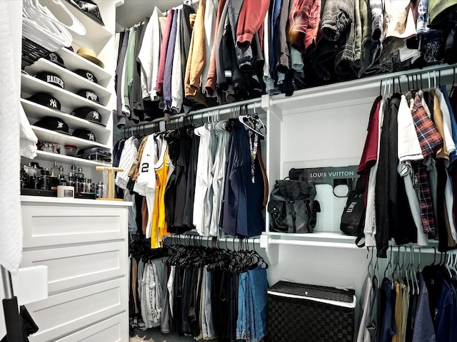 view of spacious closet
