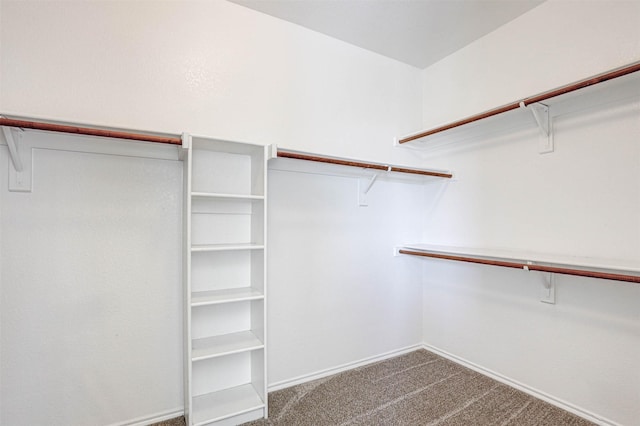 1108 Mourning Dove Dr, Burleson, TX 76028 - spacious closet featuring carpet