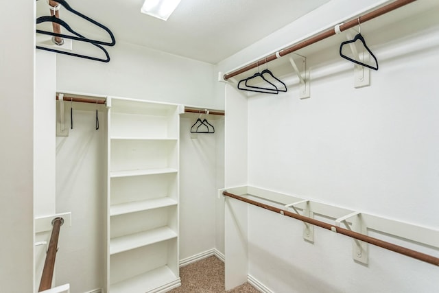 walk in closet with carpet floors
