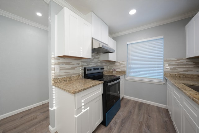 1121 Stone Trail Dr, Plano, TX 75023 - kitchen featuring electric range, under cabinet range hood, decorative backsplash, white cabinets, and crown molding