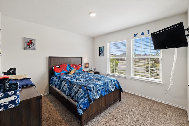 2802 Elk Rd, Crandall, TX 75114 - bedroom with light carpet and baseboards
