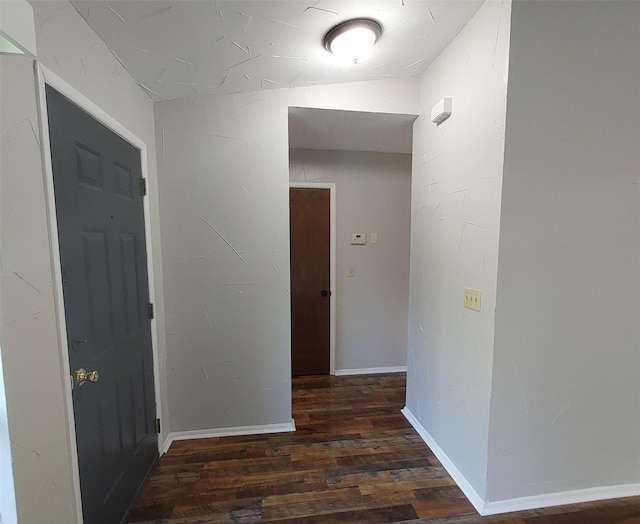 hall featuring wood finished floors