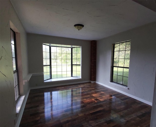 empty room featuring wood finished floors and a healthy amount of sunlight