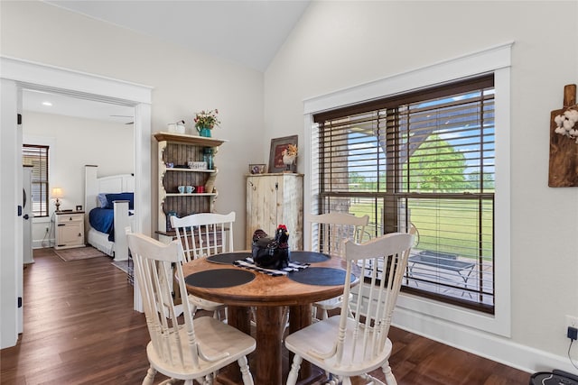 dining room with baseboards, vaulted ceiling, a healthy amount of sunlight, and wood finished floors