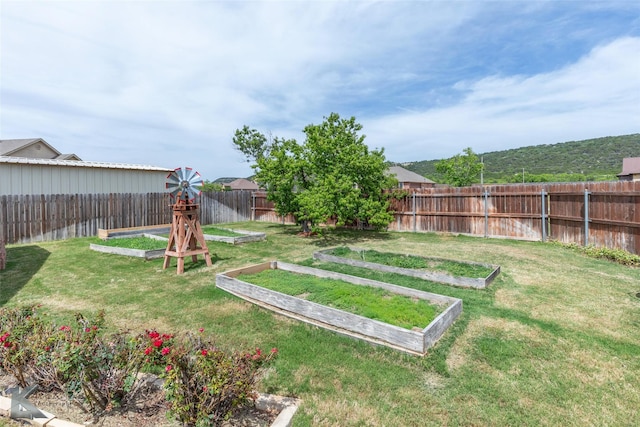 102 Wait Station Ave, Tuscola, TX 79562 - view of yard featuring a vegetable garden