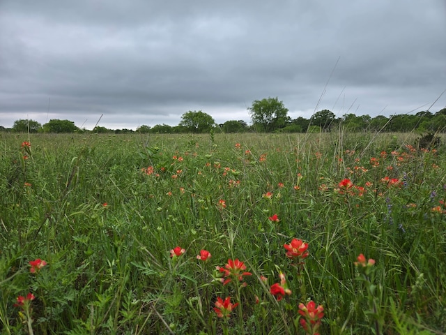 TBD County Road 155, Cisco, TX 76437