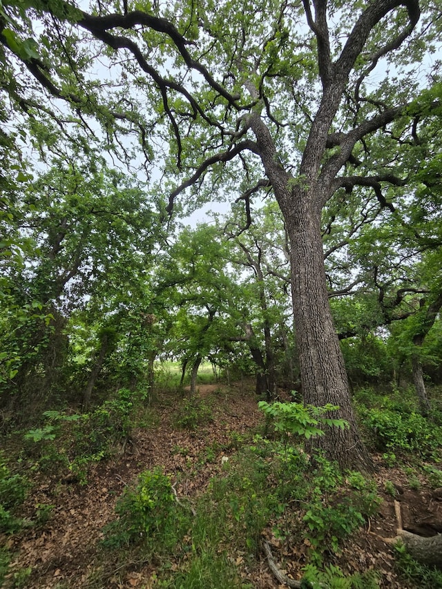 TBD County Road 155, Cisco, TX 76437