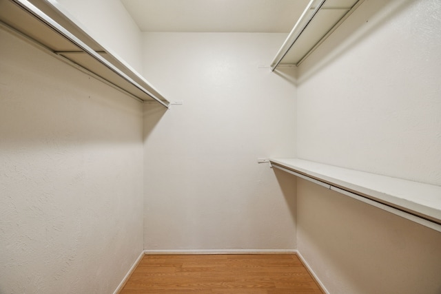 spacious closet featuring light wood-style floors