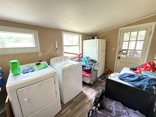 clothes washing area featuring laundry area, a healthy amount of sunlight, dark wood-style floors, washer and clothes dryer, and a textured ceiling
