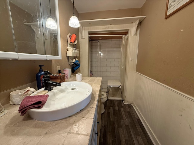 full bathroom featuring wainscoting, vanity, toilet, wood finished floors, and curtained shower
