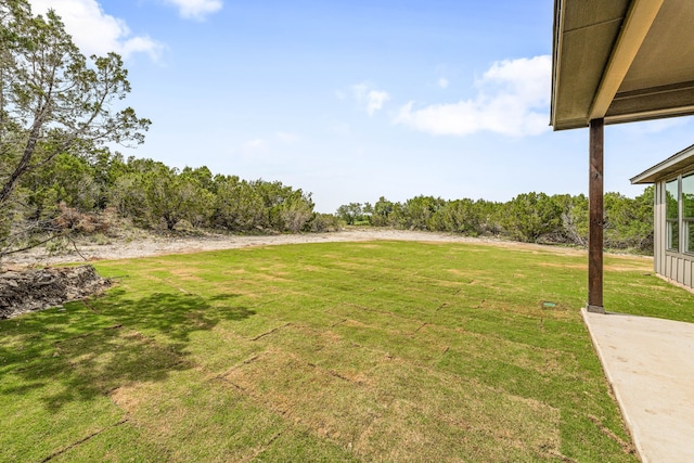 285 Lake Ridge Ct, Bluff Dale, TX 76433 - view of green lawn