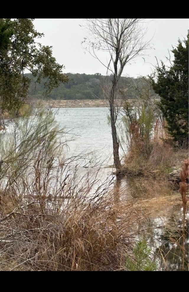 view of water feature