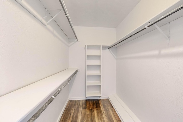walk in closet with dark wood-style floors