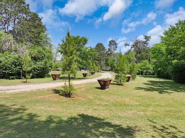 8595 Rylie Rd, Dallas, TX 75217