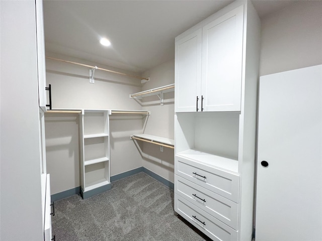 5008 San Marcos Dr, Granbury, TX 76048 - spacious closet with carpet flooring