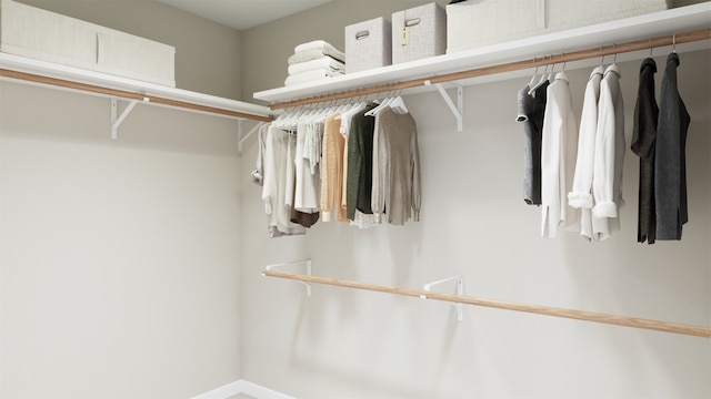 view of walk in closet