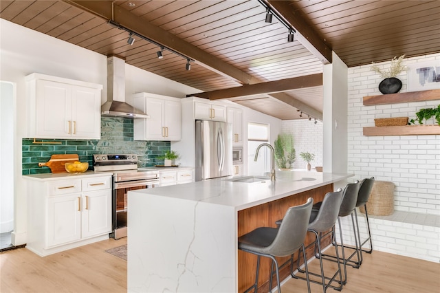 kitchen featuring a sink, appliances with stainless steel finishes, rail lighting, and wall chimney exhaust hood
