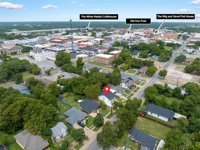 bird's eye view