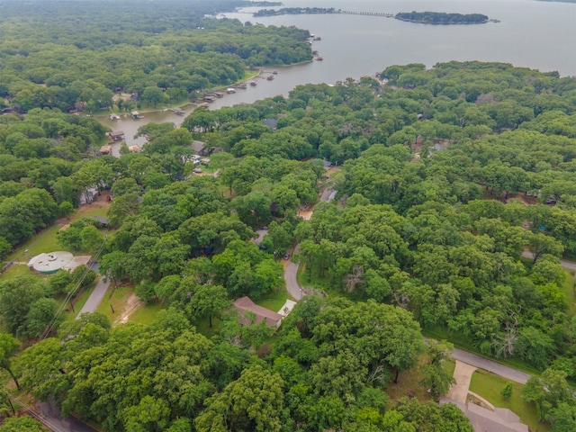 bird's eye view featuring a water view and a view of trees