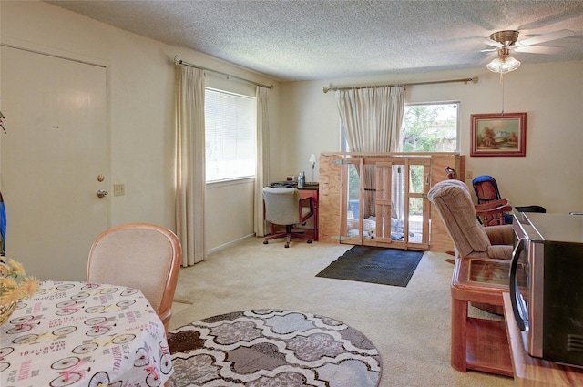 4405 Tophill Ln, Irving, TX 75038 - interior space featuring a textured ceiling