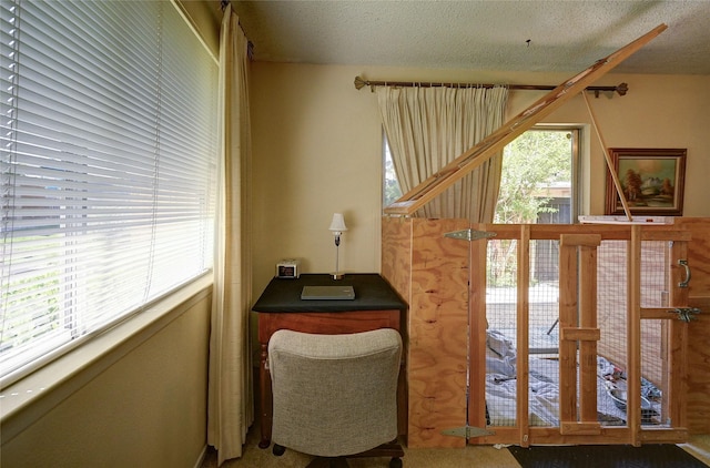 4405 Tophill Ln, Irving, TX 75038 - sitting room featuring a textured ceiling