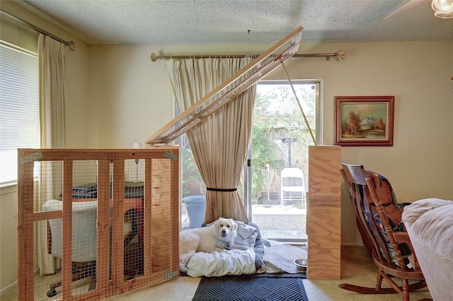 4405 Tophill Ln, Irving, TX 75038 - living area with carpet floors and a textured ceiling