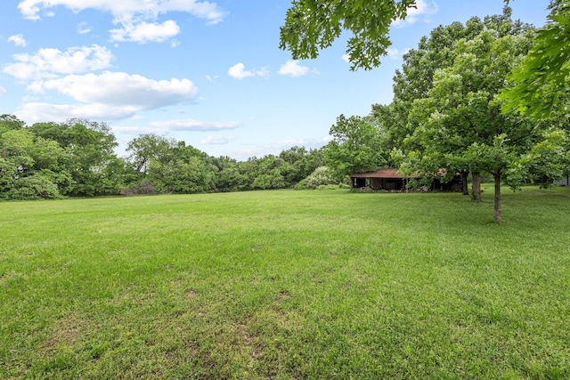 view of yard with a forest view