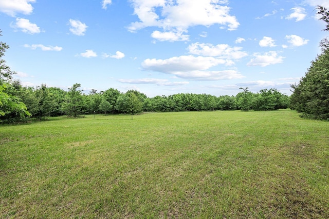 view of yard with a view of trees