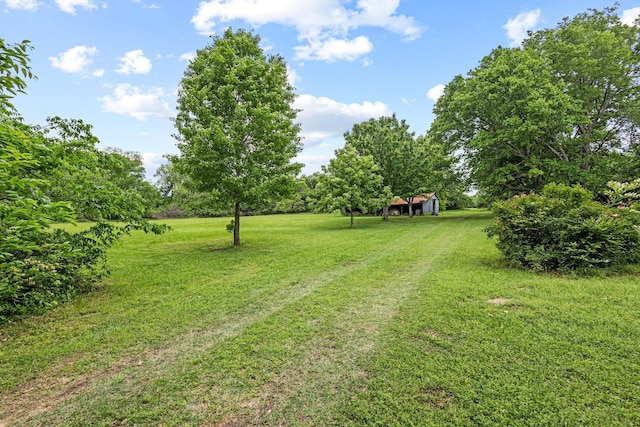 view of yard with an outdoor structure