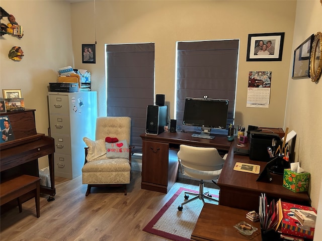 office area featuring wood finished floors