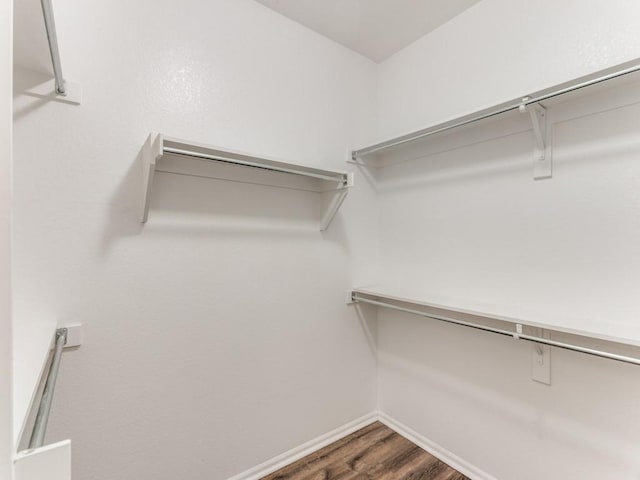 spacious closet featuring dark wood-style flooring