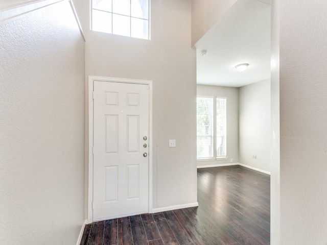 foyer entrance featuring baseboards and dark wood-style flooring