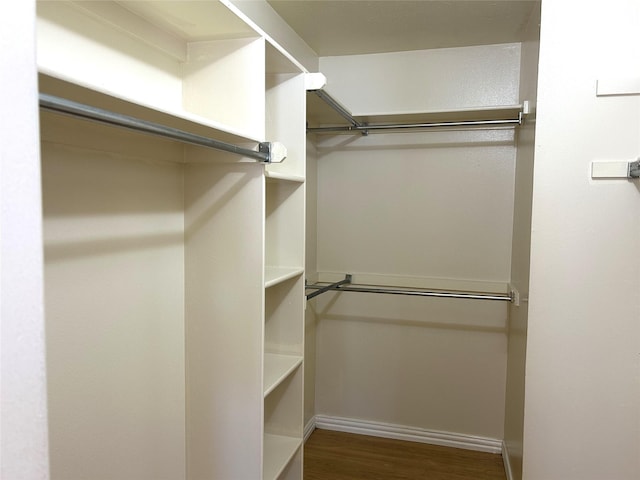 spacious closet featuring wood finished floors