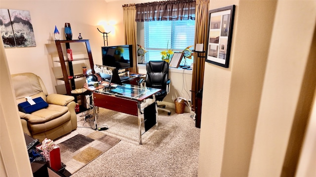 4010 Knightsbridge Ln, Midlothian, TX 76065 - view of carpeted office space