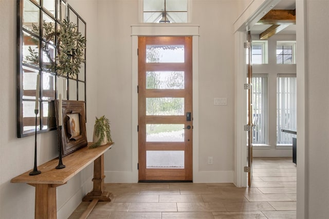 foyer with baseboards, a healthy amount of sunlight, and wood tiled floor