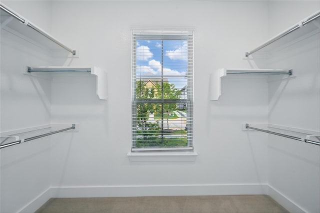 1851 Rosedale Ave, Van Alstyne, TX 75495 - spacious closet with light colored carpet