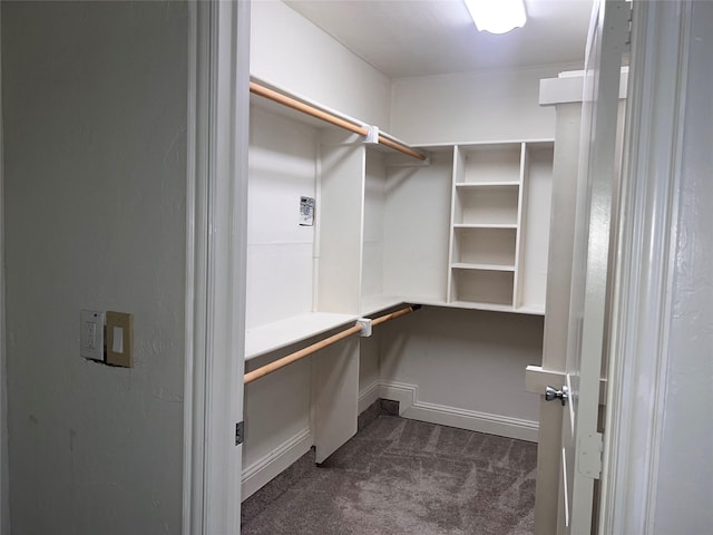 1005 Bass Dr, Plano, TX 75025 - walk in closet featuring dark colored carpet